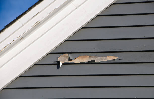 Best Shed Removal  in East Dennis, MA